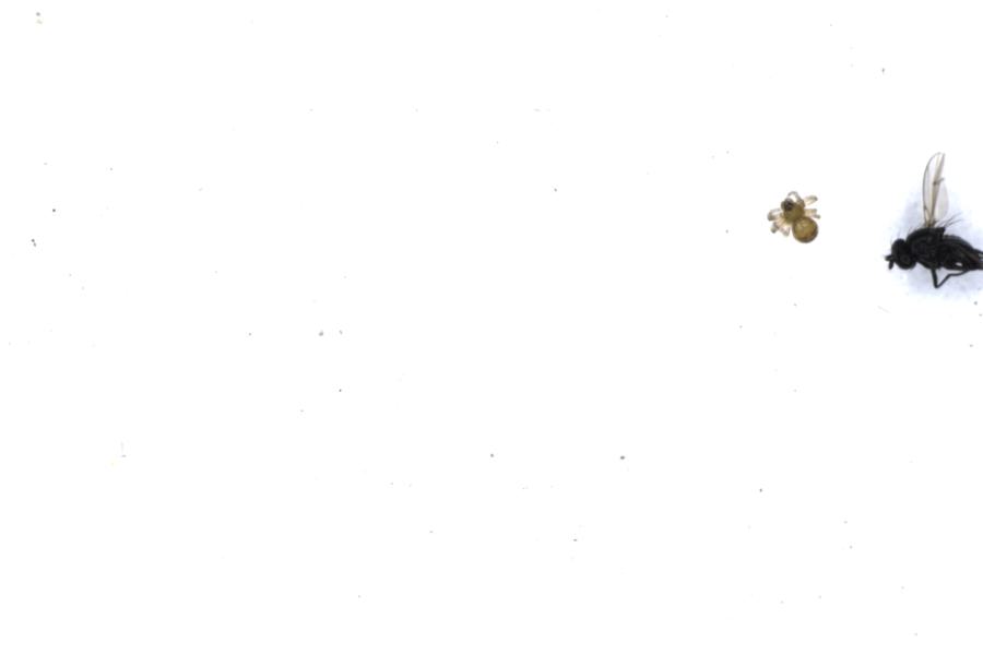 Image 25